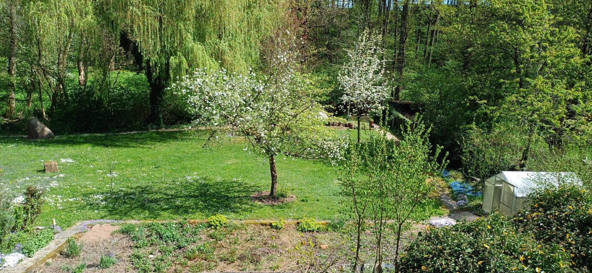 Wohnung In Medlitz Rattelsdorf 外观 照片